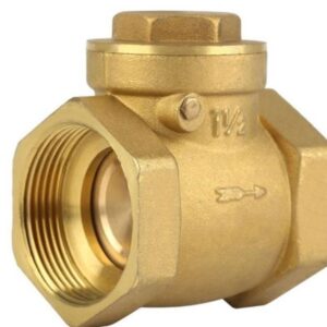 HEAVY DUTY NON RETURN VALVE 2′ THREADED