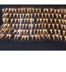 led net light 1.Voltage:220v 2.Matrial:2.0pvc+led 3.Size:6x4m,1536led 4.Waterproof rate:IP65 5.Not include power cord (warm white )