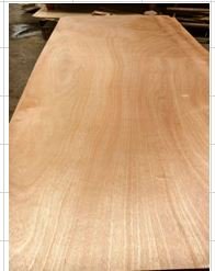 Marine plywood  1220 * 2440 * 9mm