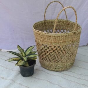 Reed Leaf Bin 100##7