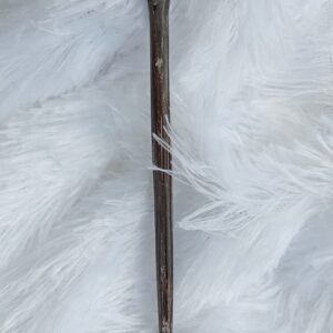 Coconut Shell Hair Pin ##76